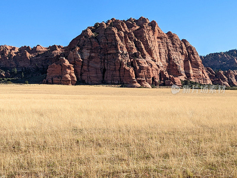 从Kolob Terrace路的牧场公路上看向洞穴山谷红岩在锡安国家公园犹他州的维珍镇附近